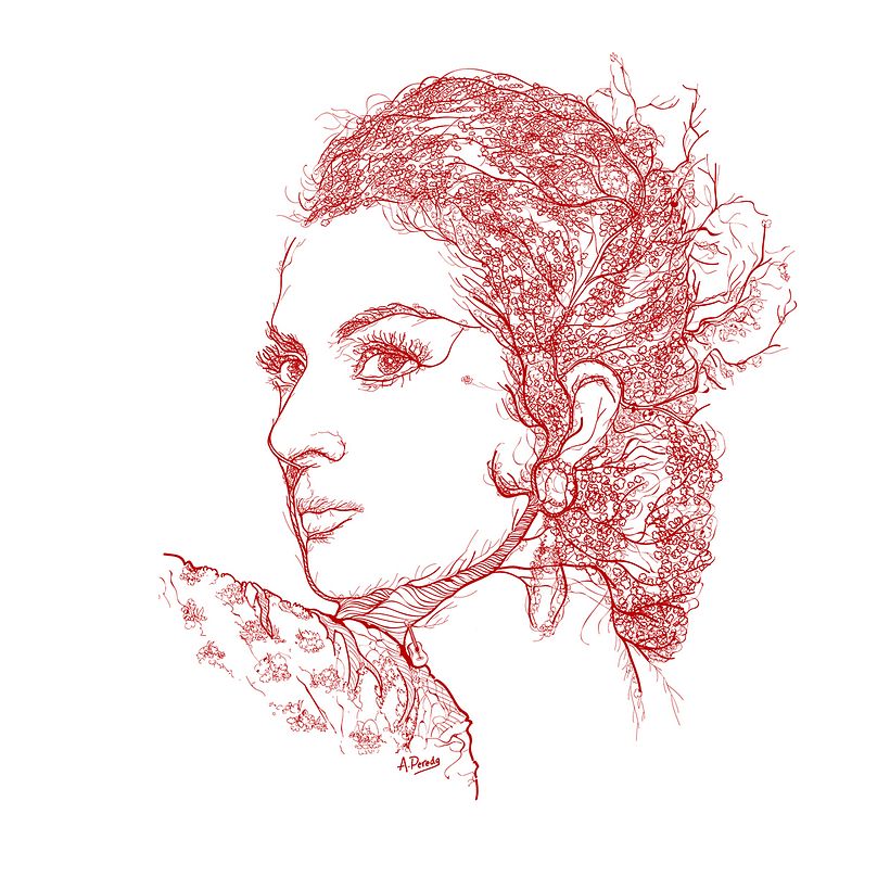 ICONOS Retratos de doble sentido. 16