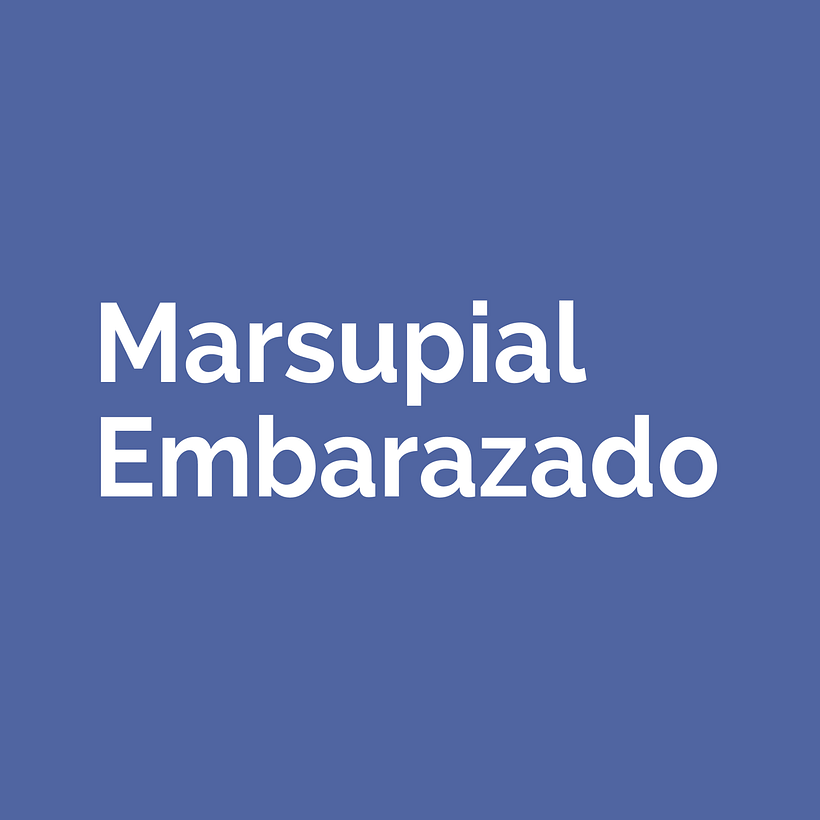 Colaboración Ilustrador 1