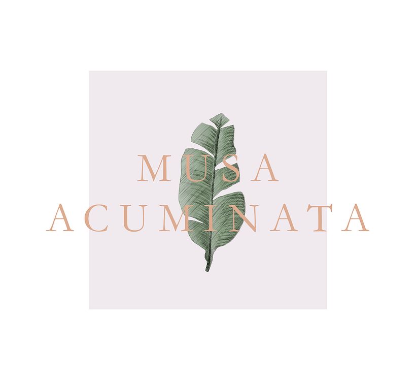 Leafs (Ilustración) 2