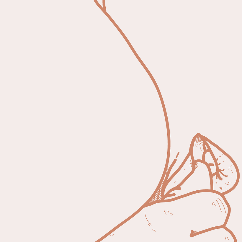 from the January sketches. 1