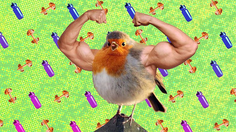 BT Mobile UK - Perfect Formula 5