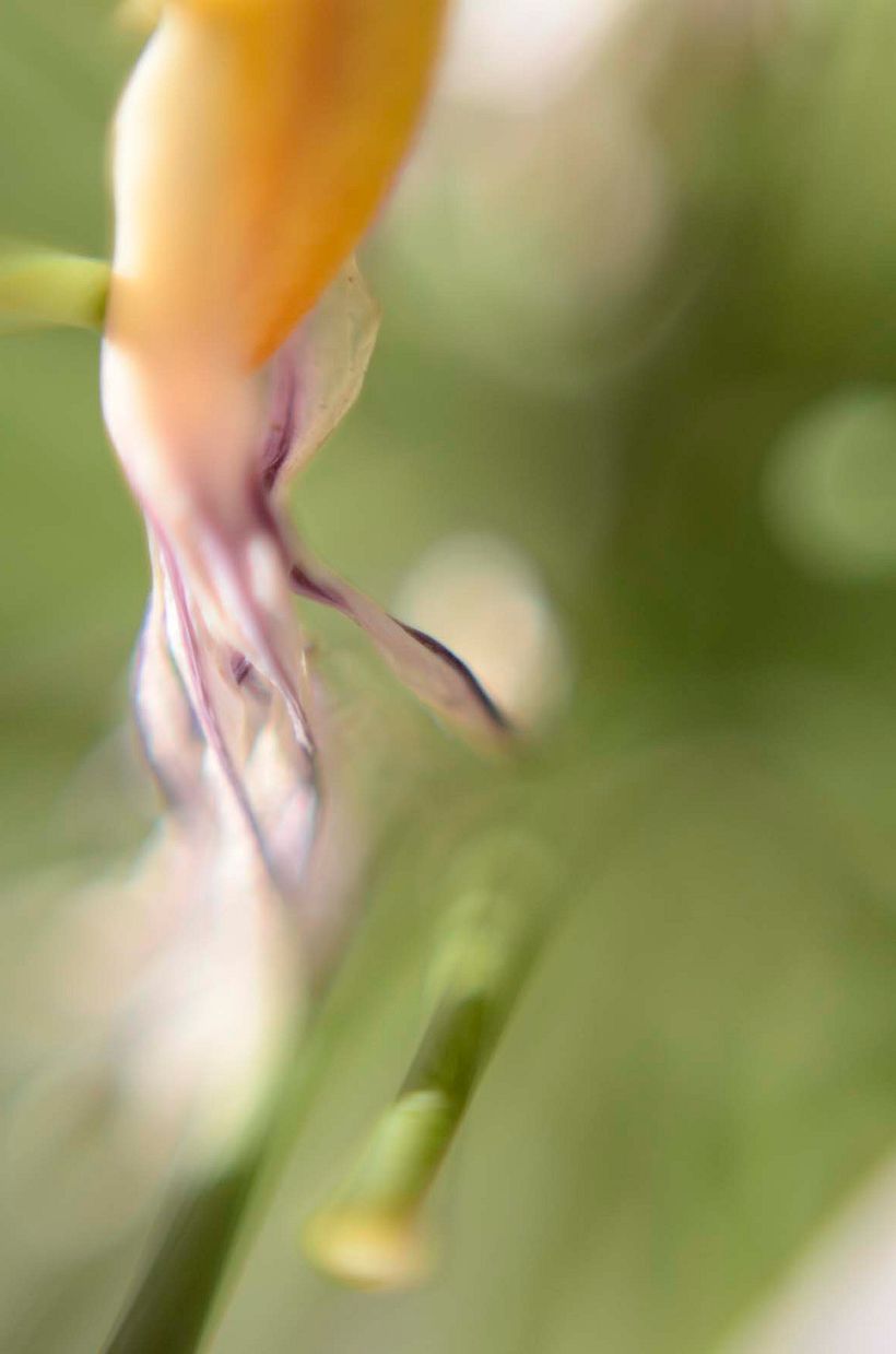Fotografías  9