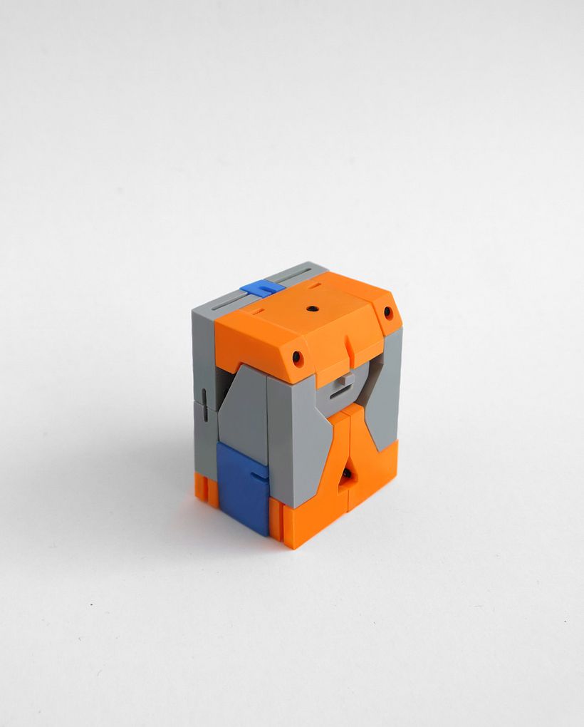ARTICULITA 6
