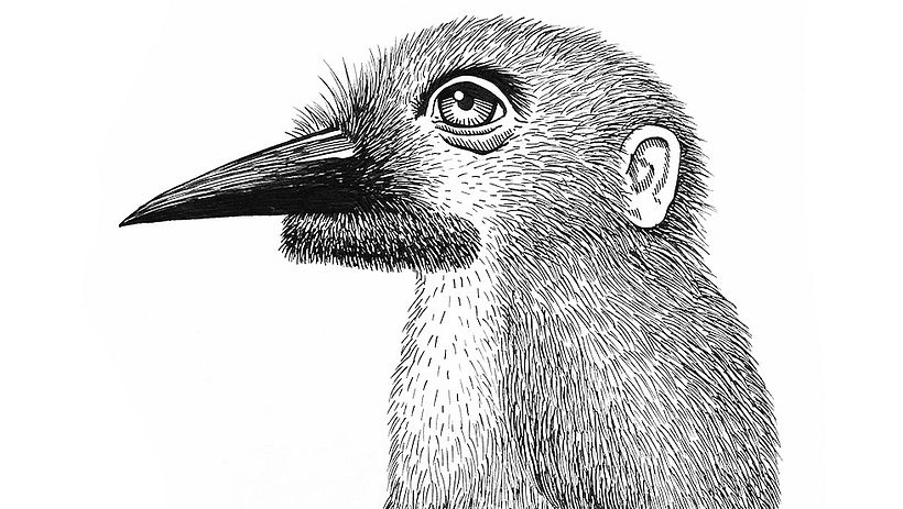 Fernet 1882 - Campaña 10