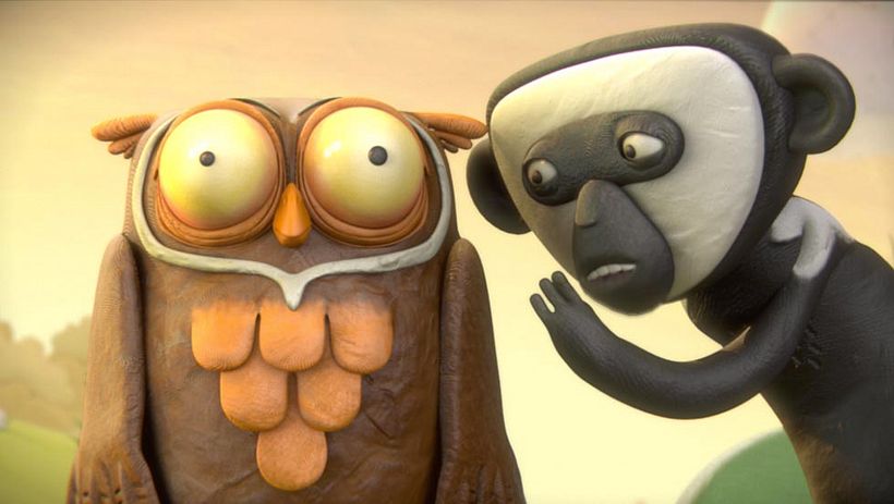 Temaikén - Aves vs Wallabies 7