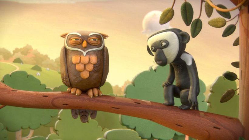 Temaikén - Aves vs Wallabies 8