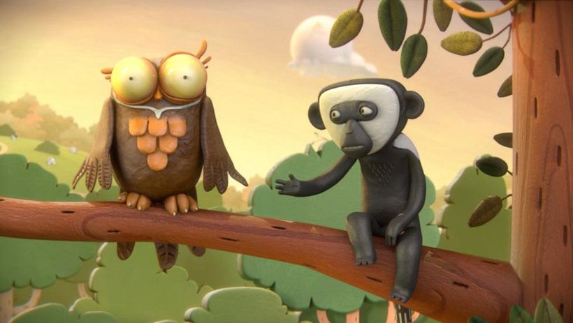 Temaikén - Aves vs Wallabies 9