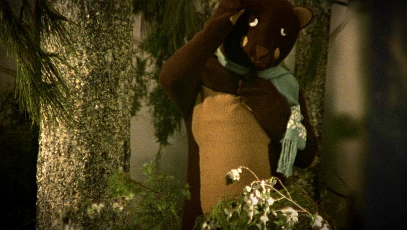 The Blindness of the Woods 11