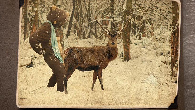 The Blindness of the Woods 26