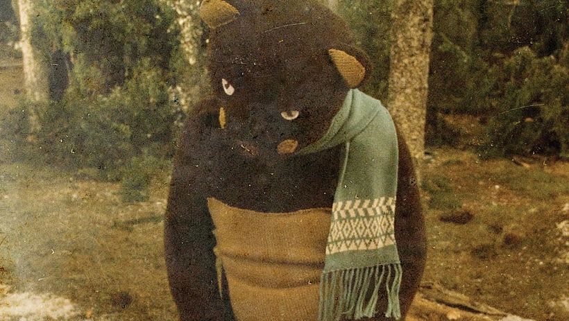 The Blindness of the Woods 27