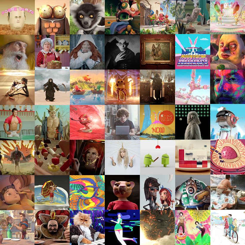 Reel Flamboyant Paradise 2018 1