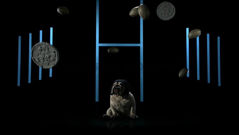 Medicus - Sporty Dogs 5
