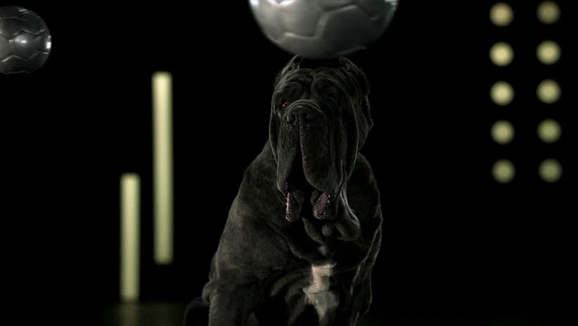 Medicus - Sporty Dogs 6