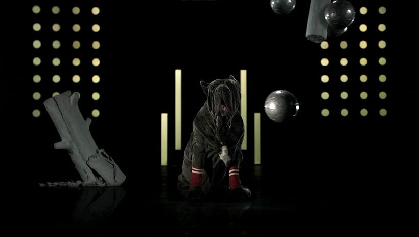 Medicus - Sporty Dogs 7