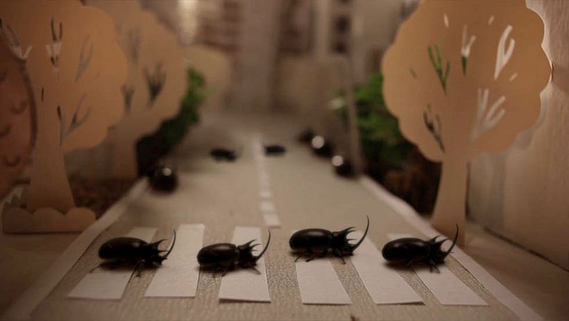 Marinela Rolls - Beetle's City 5