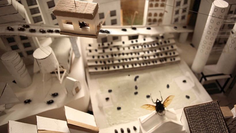 Marinela Rolls - Beetle's City 6