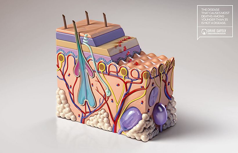 Drive Safely Awareness 0