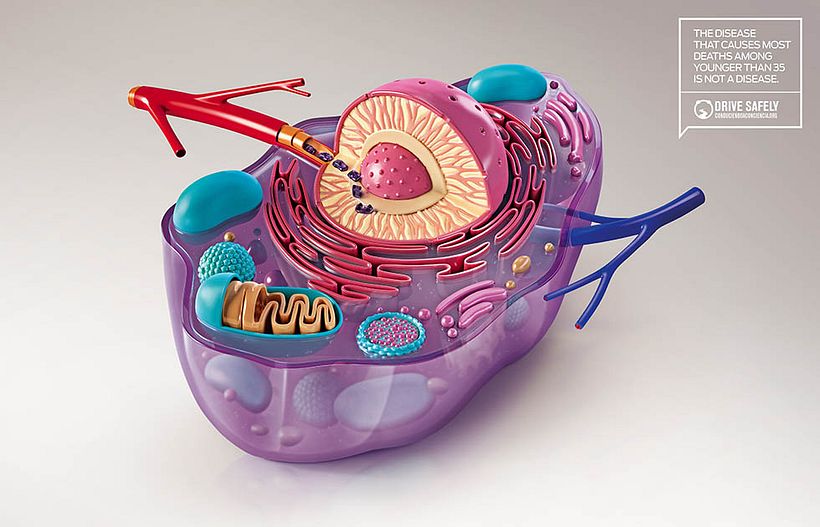 Drive Safely Awareness 2