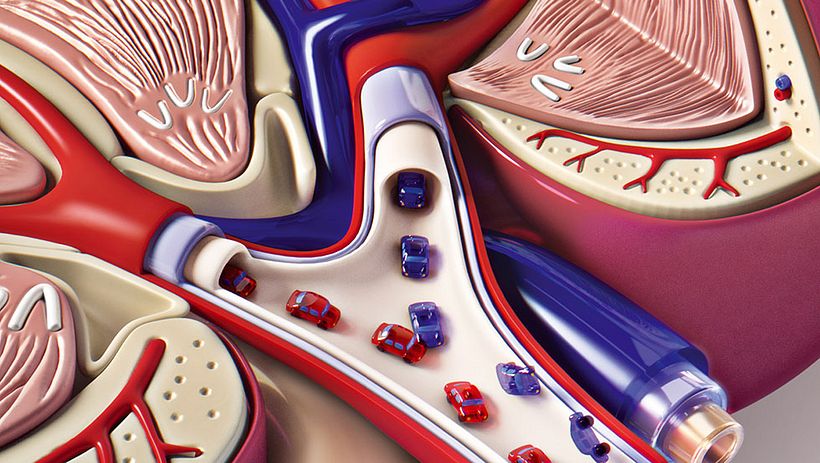 Drive Safely Awareness 4