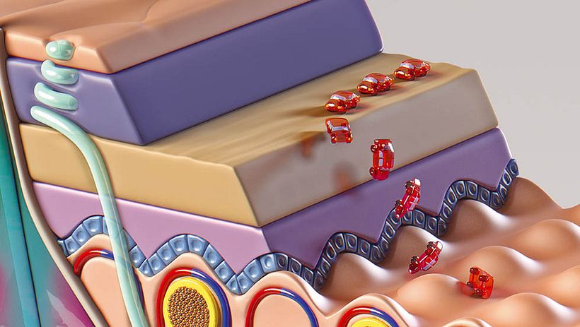 Drive Safely Awareness 5