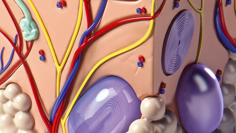 Drive Safely Awareness 6