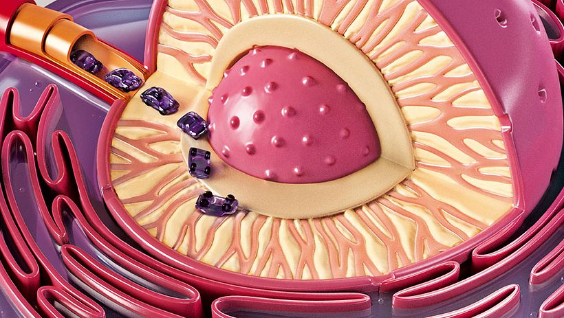 Drive Safely Awareness 7