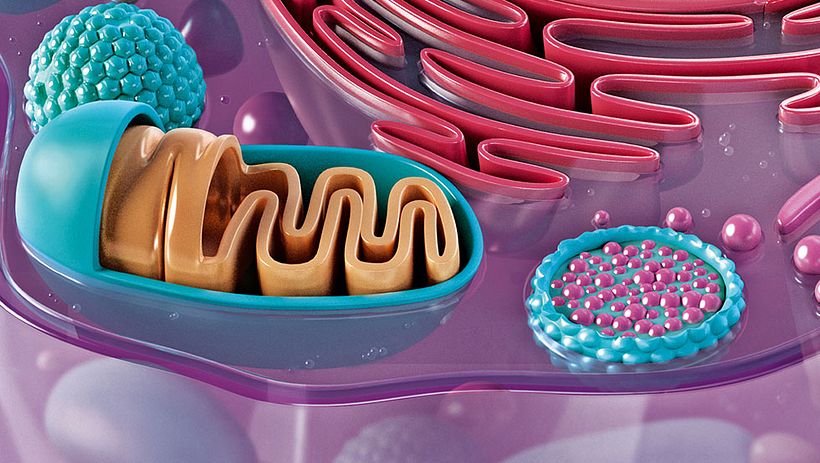 Drive Safely Awareness 8