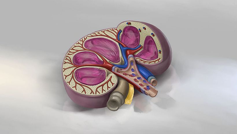 Drive Safely Awareness 10