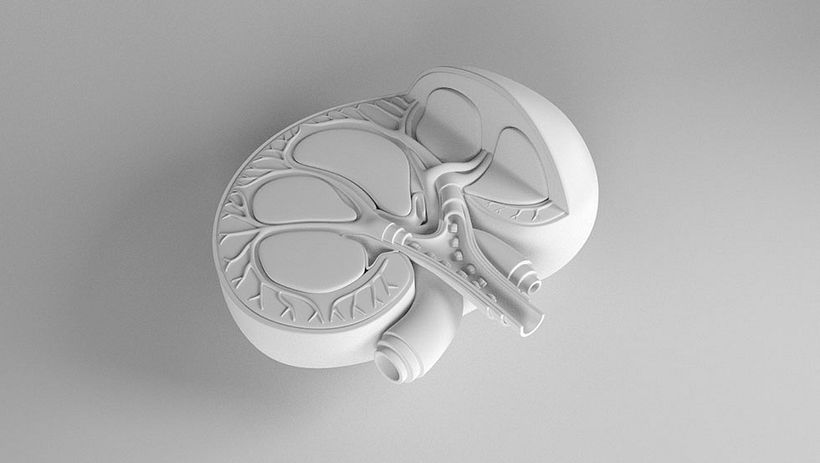 Drive Safely Awareness 11