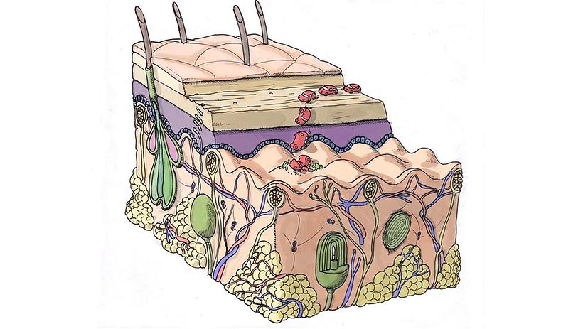 Drive Safely Awareness 12