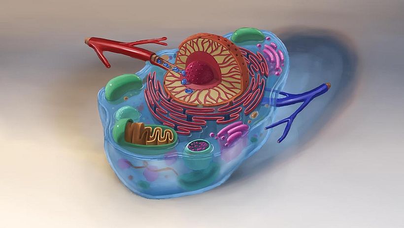 Drive Safely Awareness 13