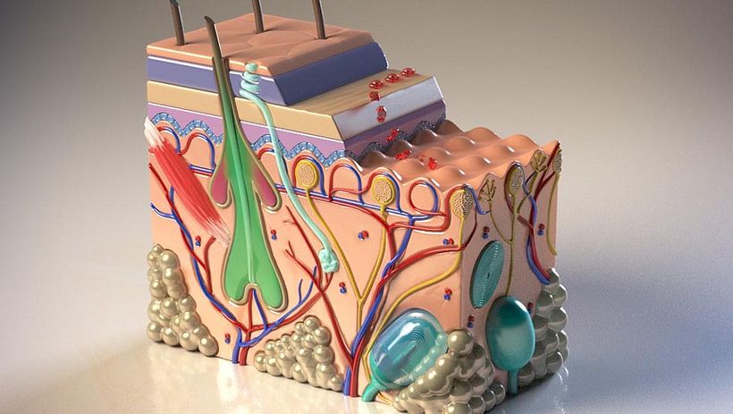 Drive Safely Awareness 14