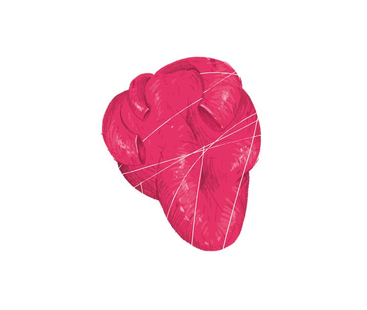 Todo corazón 8