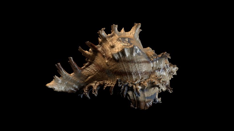 Substance Painter 5