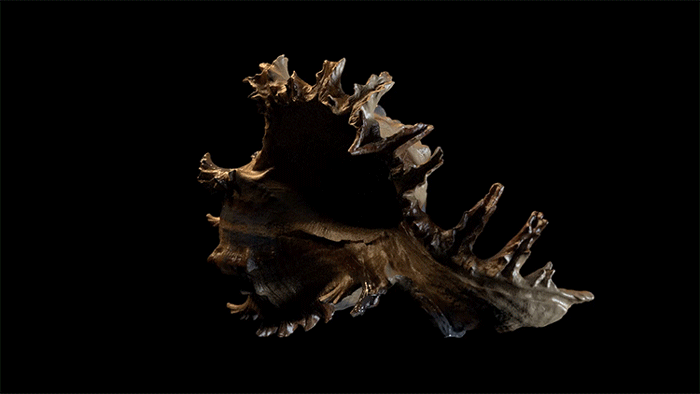 Substance Painter 5