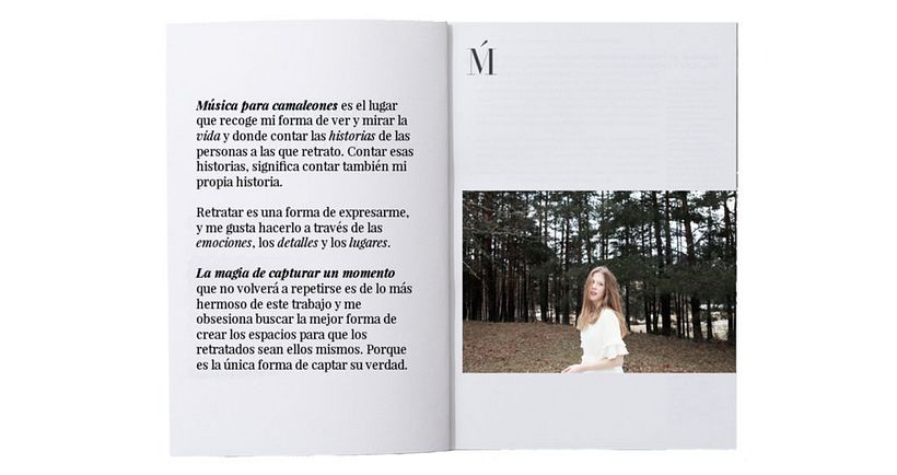 Música para Camaleones - Diseño