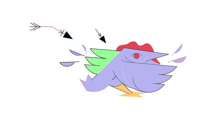 gallo 2