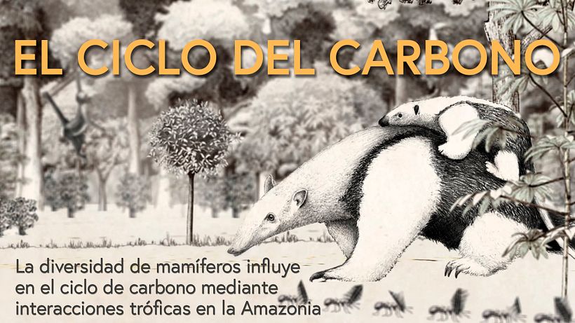 El Ciclo de Carbono -1