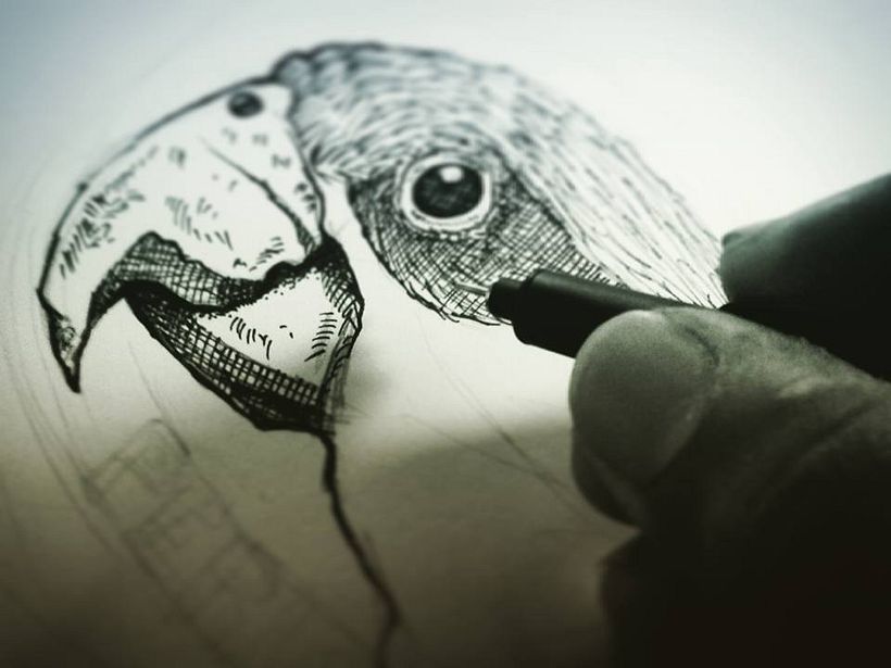 DOTWORK 2