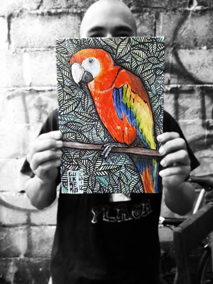 GUACAMAYA -1