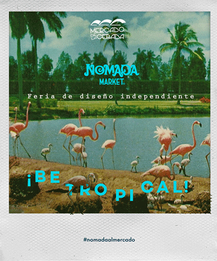 5 años, 16 ediciones – Nomada Market 56