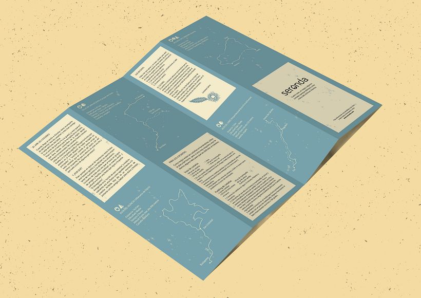 Branding - Seronda 1