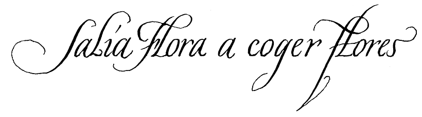O Bando de Surunyo 6