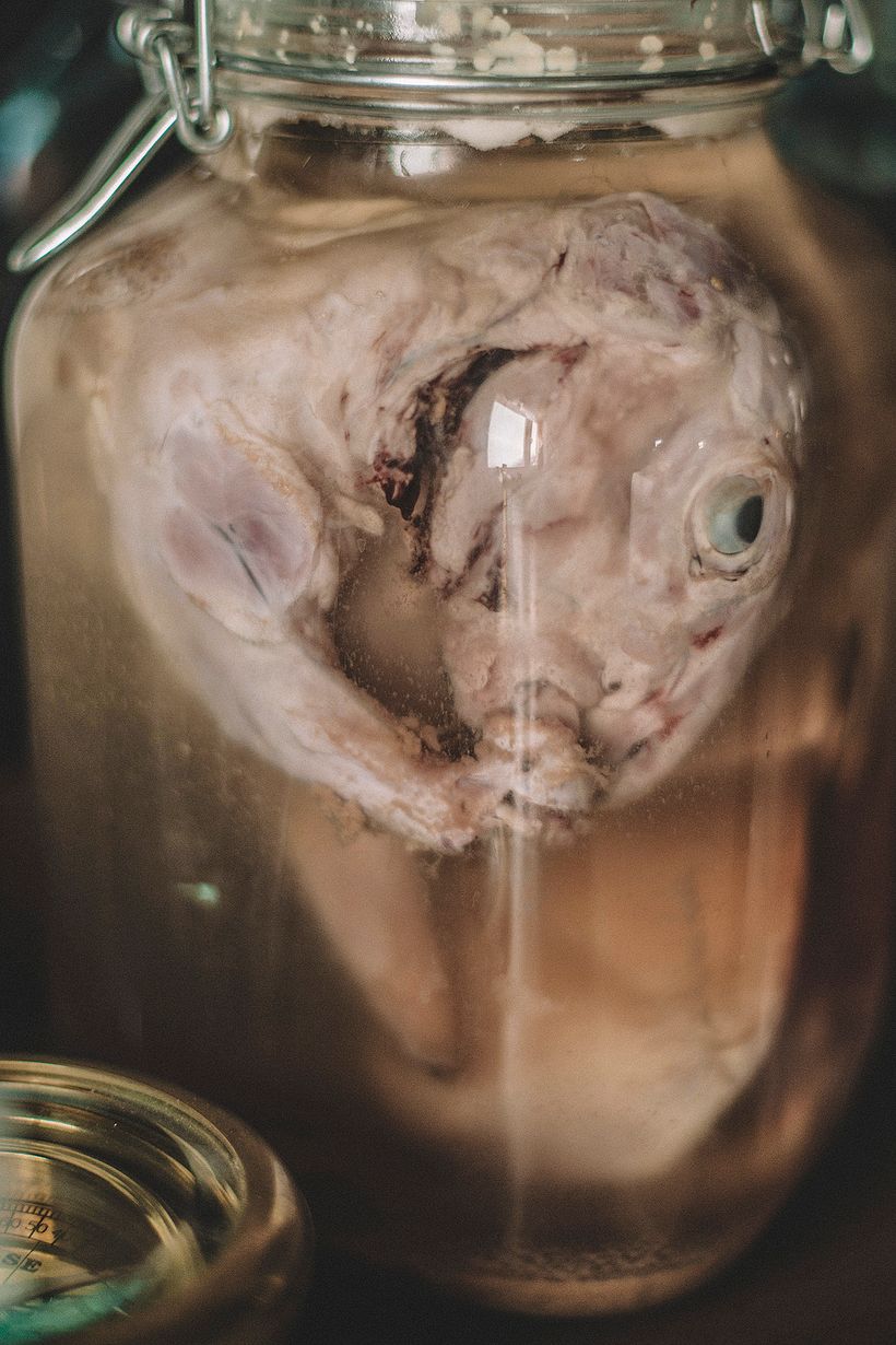 "El apagón" Cortometraje y fotos 30