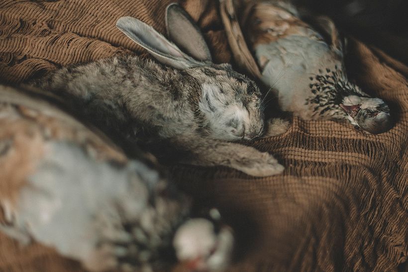 "El apagón" Cortometraje y fotos 33