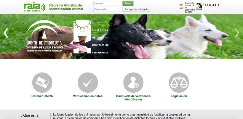 Diseño RAIA 0