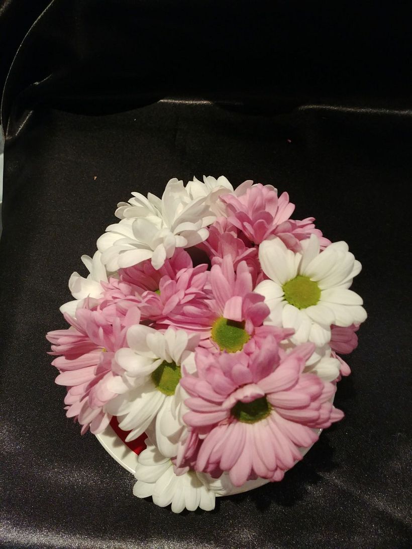Proyecto flores 22
