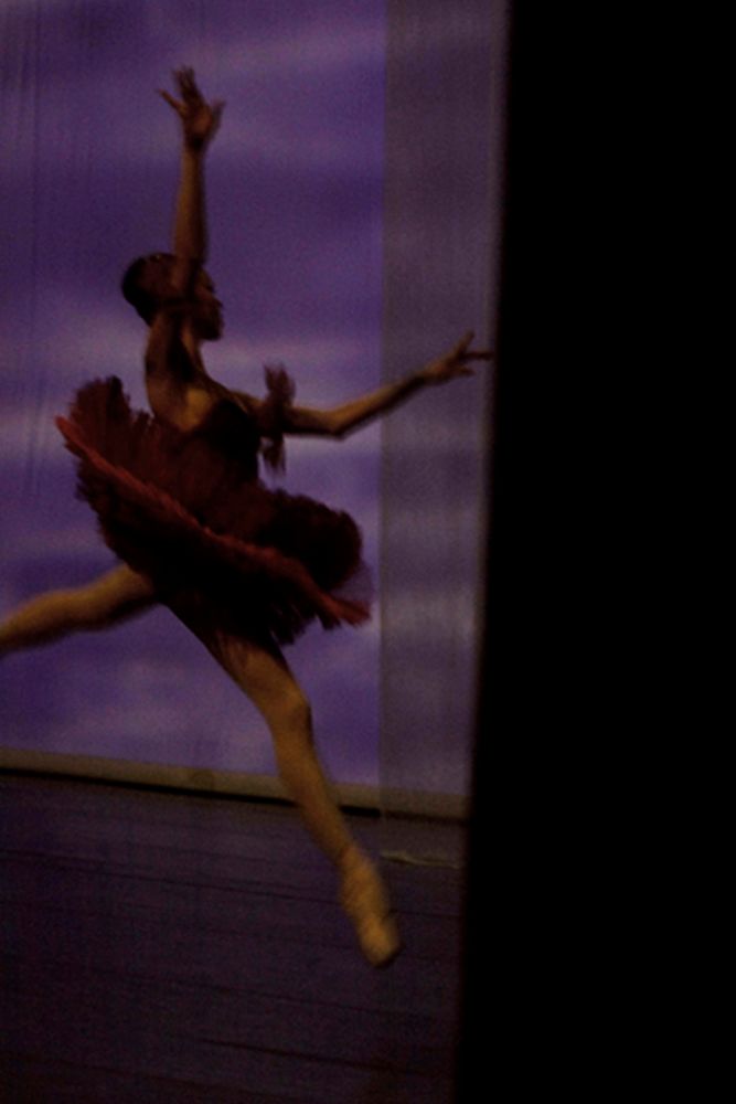 Ballet Ruso del Bolshoi 0