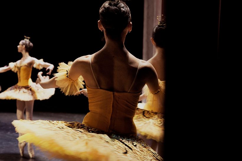 Ballet Ruso del Bolshoi 2