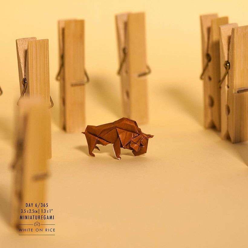 White on rice: un origami al día desde 2014 10